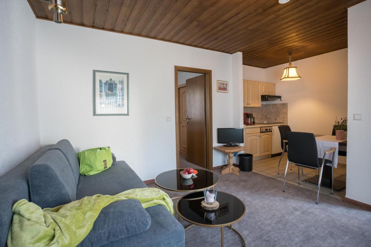 Goebel'S Ferienhaus Sonnenuhr Willingen  Εξωτερικό φωτογραφία